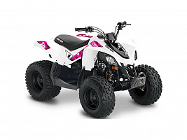 Can-am DS70 2008