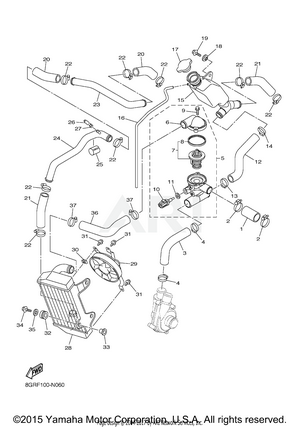 RADIATOR HOSE