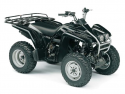 WOLVERINE 4X4 (YFM35FXS)