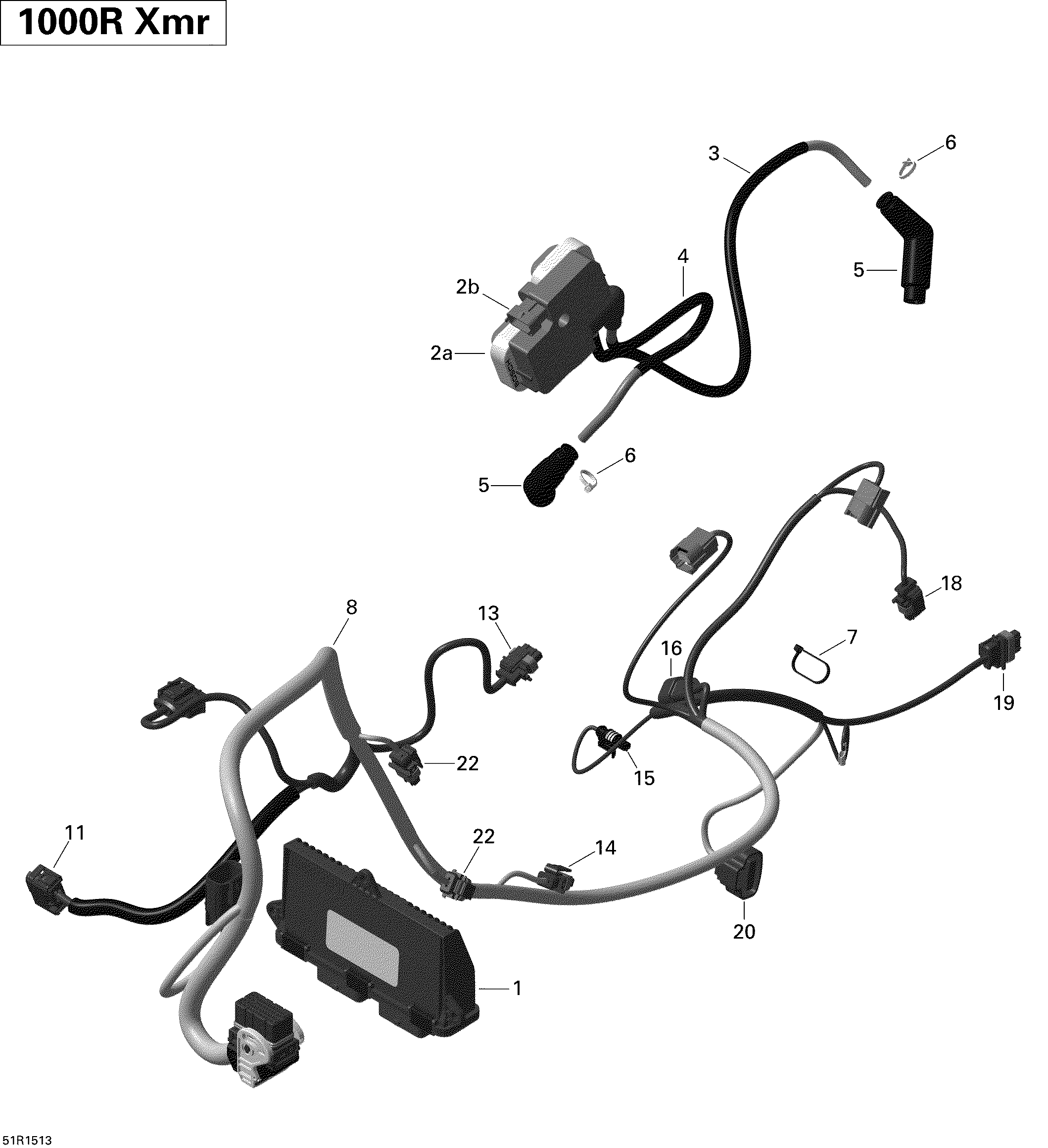 Engine Harness And Electronic Module _51R1513