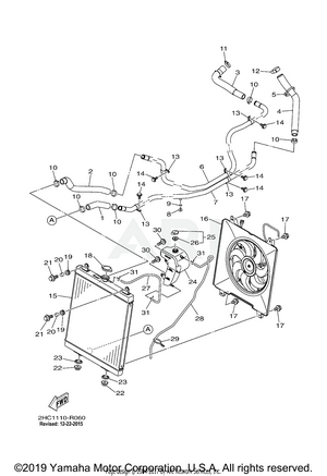 RADIATOR HOSE