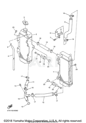 RADIATOR HOSE