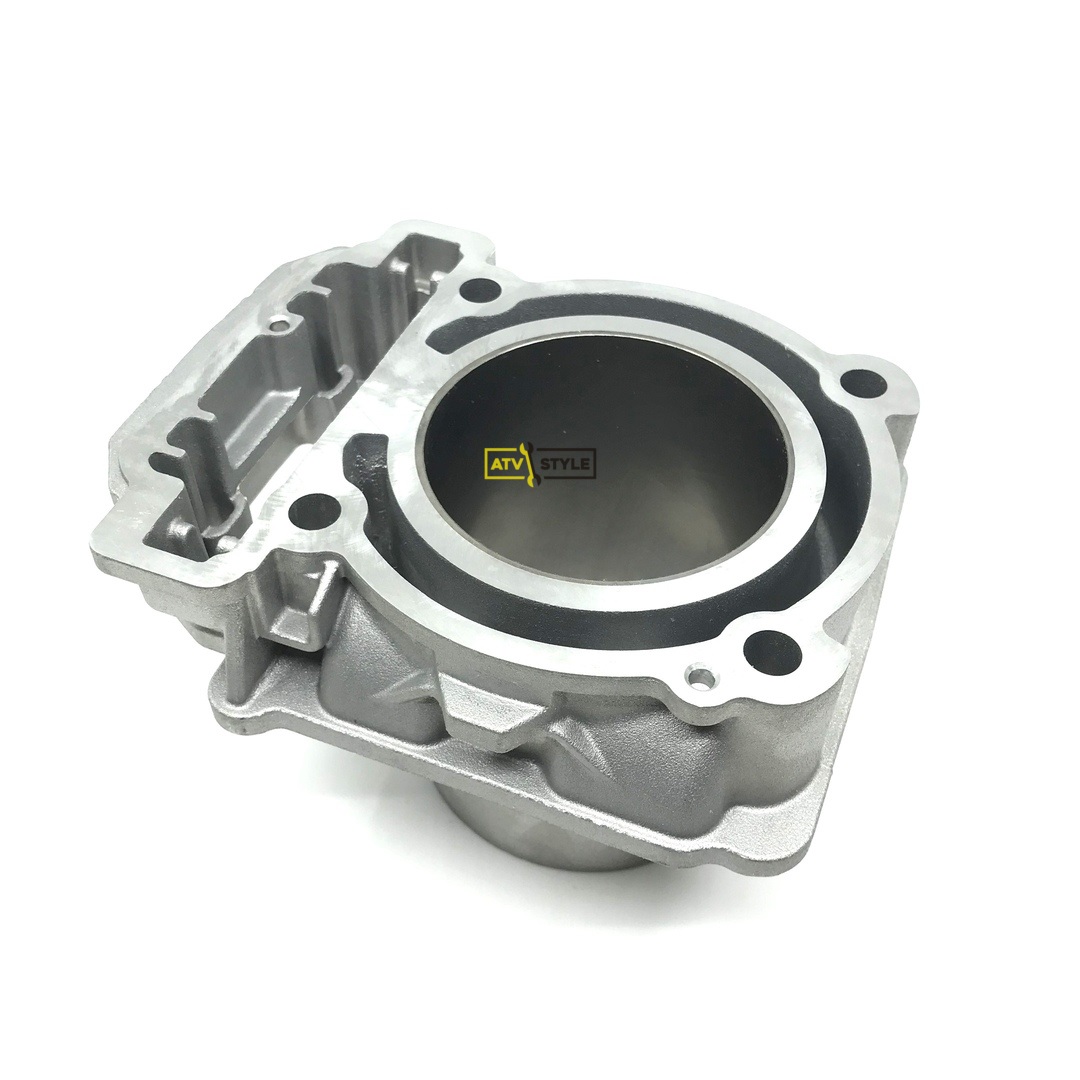 Цилиндр Can Am 420413211