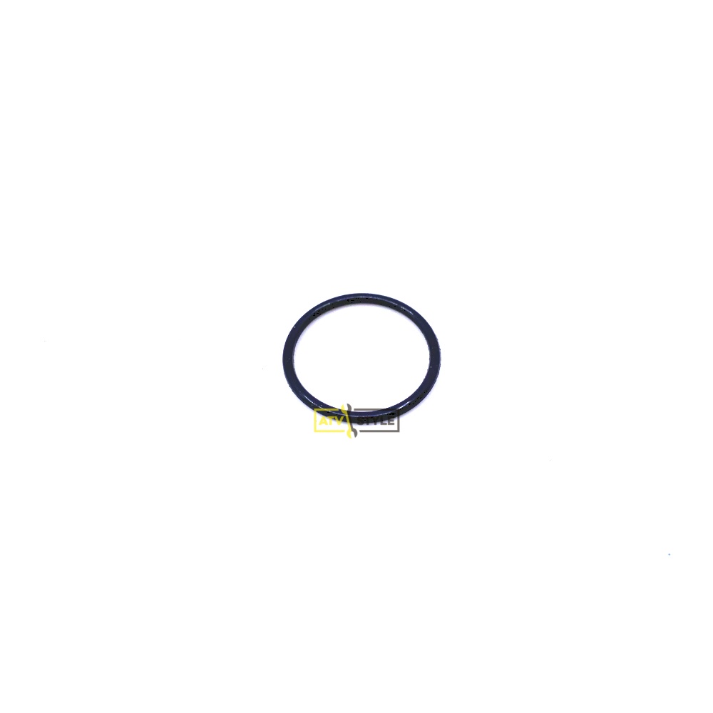 Кольцо уплотнительное Suzuki 17689-50F00-000