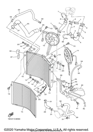 RADIATOR HOSE