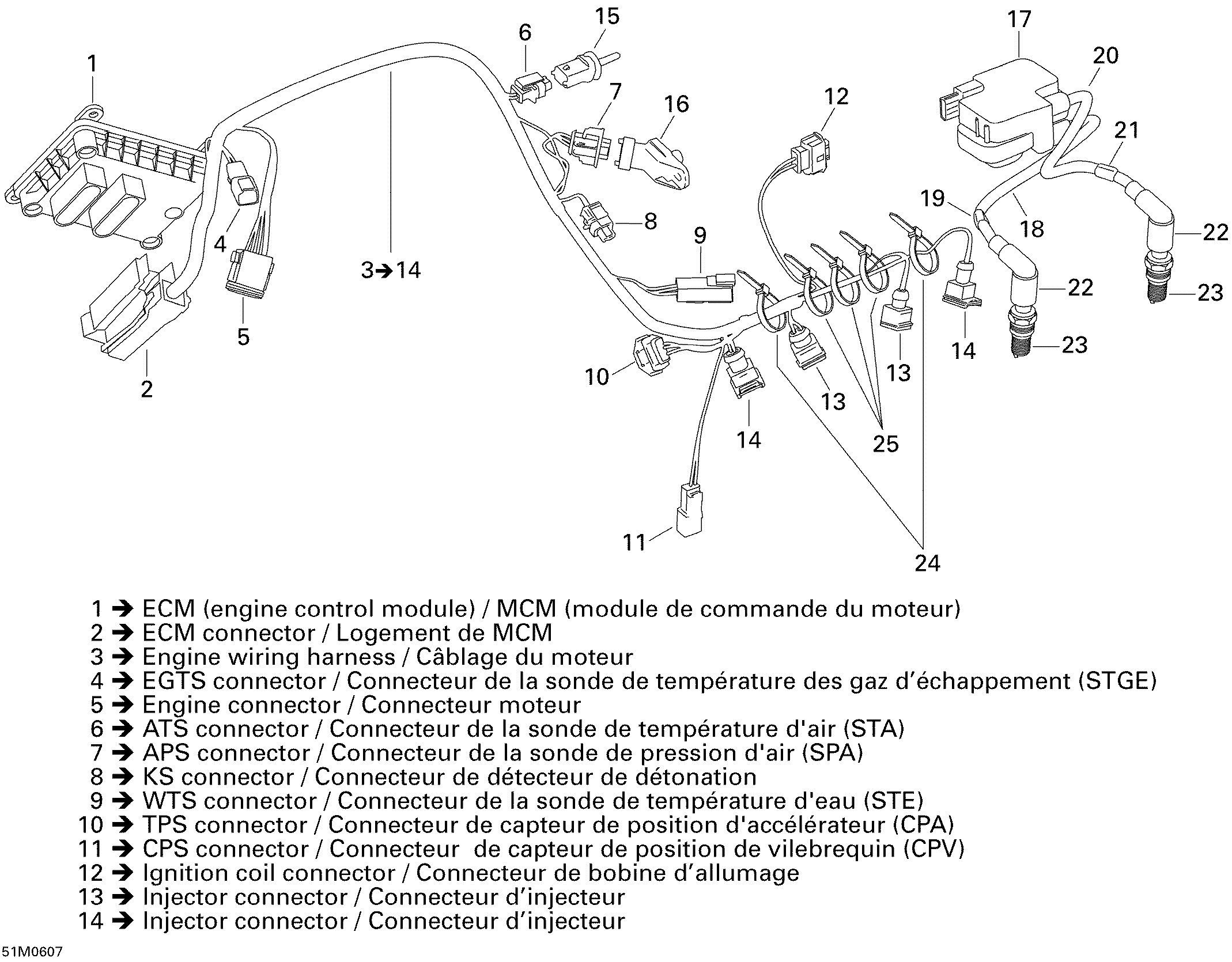 Engine Harness And Electronic Module