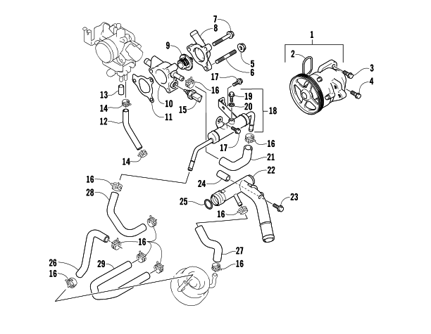 WATER PUMP AND THERMOSTAT ASSEMBLIES