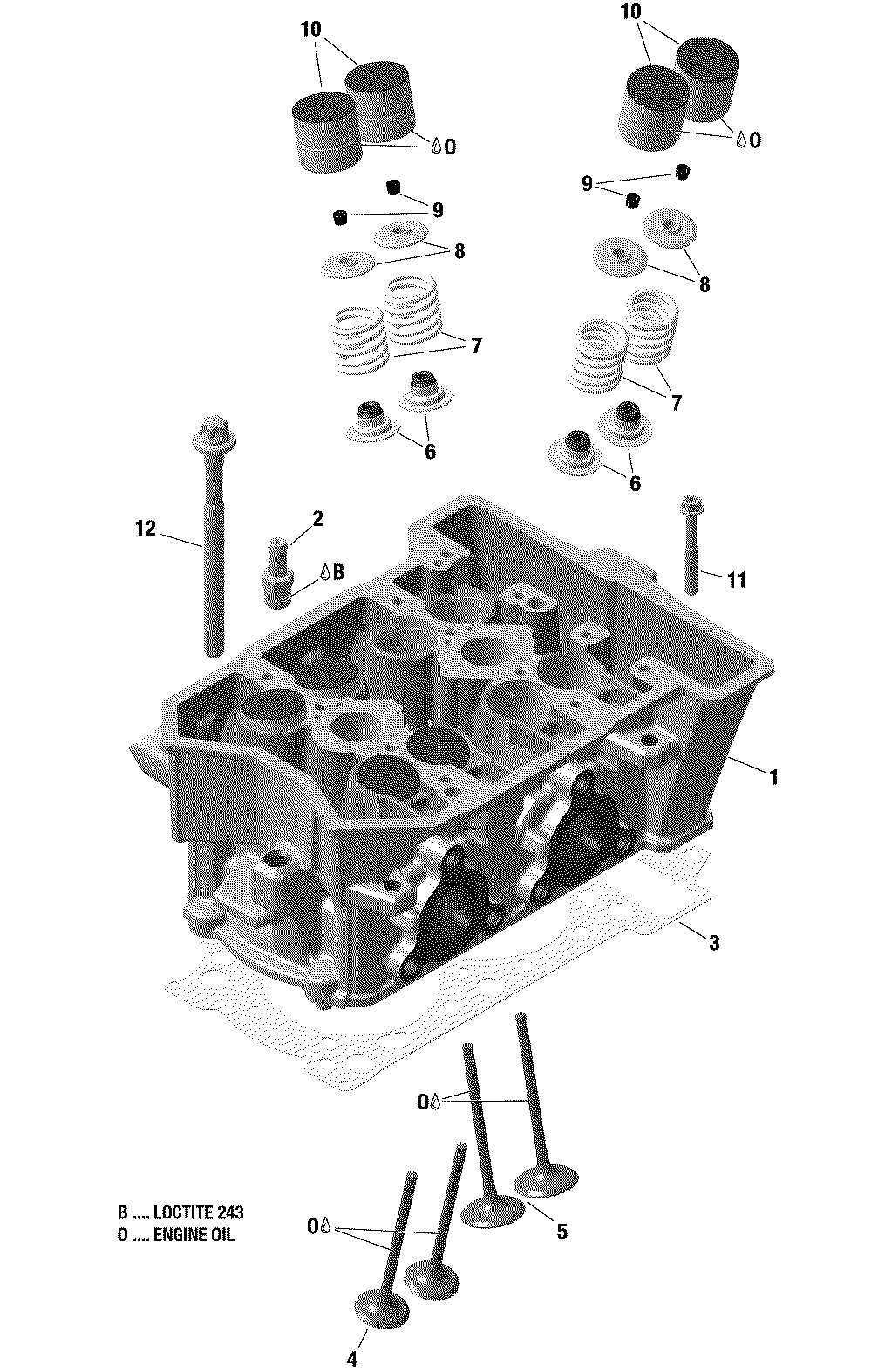 Engine - Cylinder Head - 600 ACE