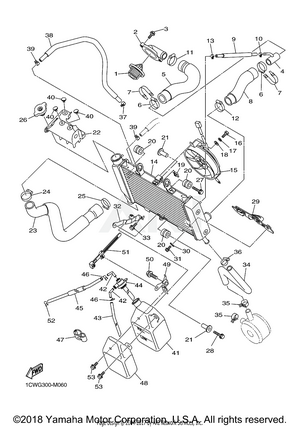 RADIATOR HOSE