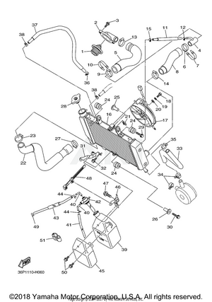 RADIATOR HOSE