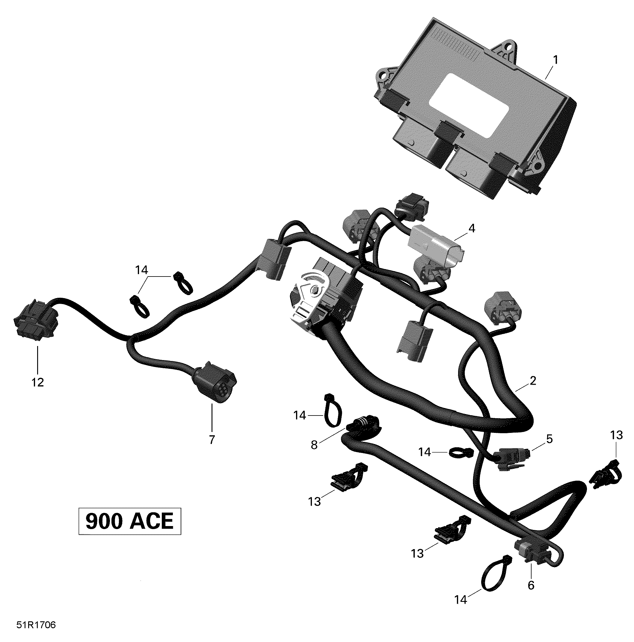 Engine Harness and Electronic Module - 900 ACE