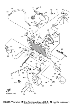 RADIATOR HOSE