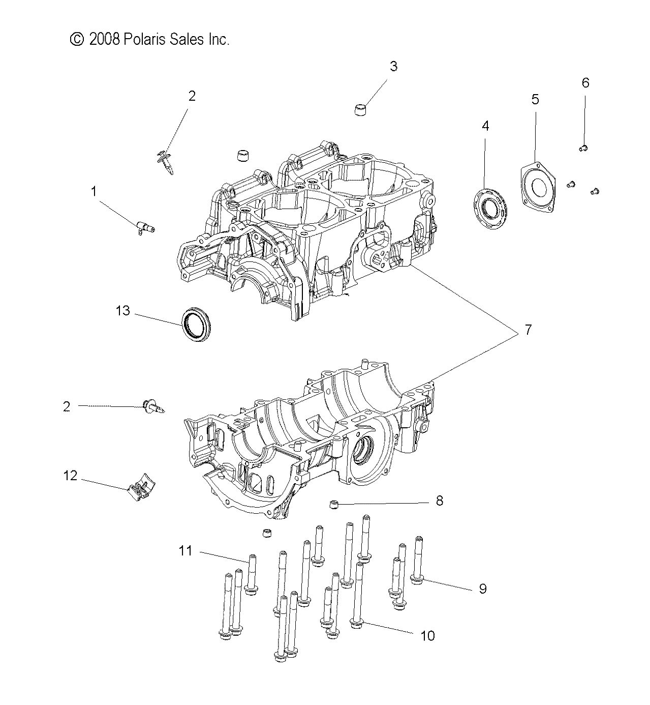 ENGINE, CRANKCASE - S09PB8ES/ESL (49SNOWCRANKCASE09ASLT)