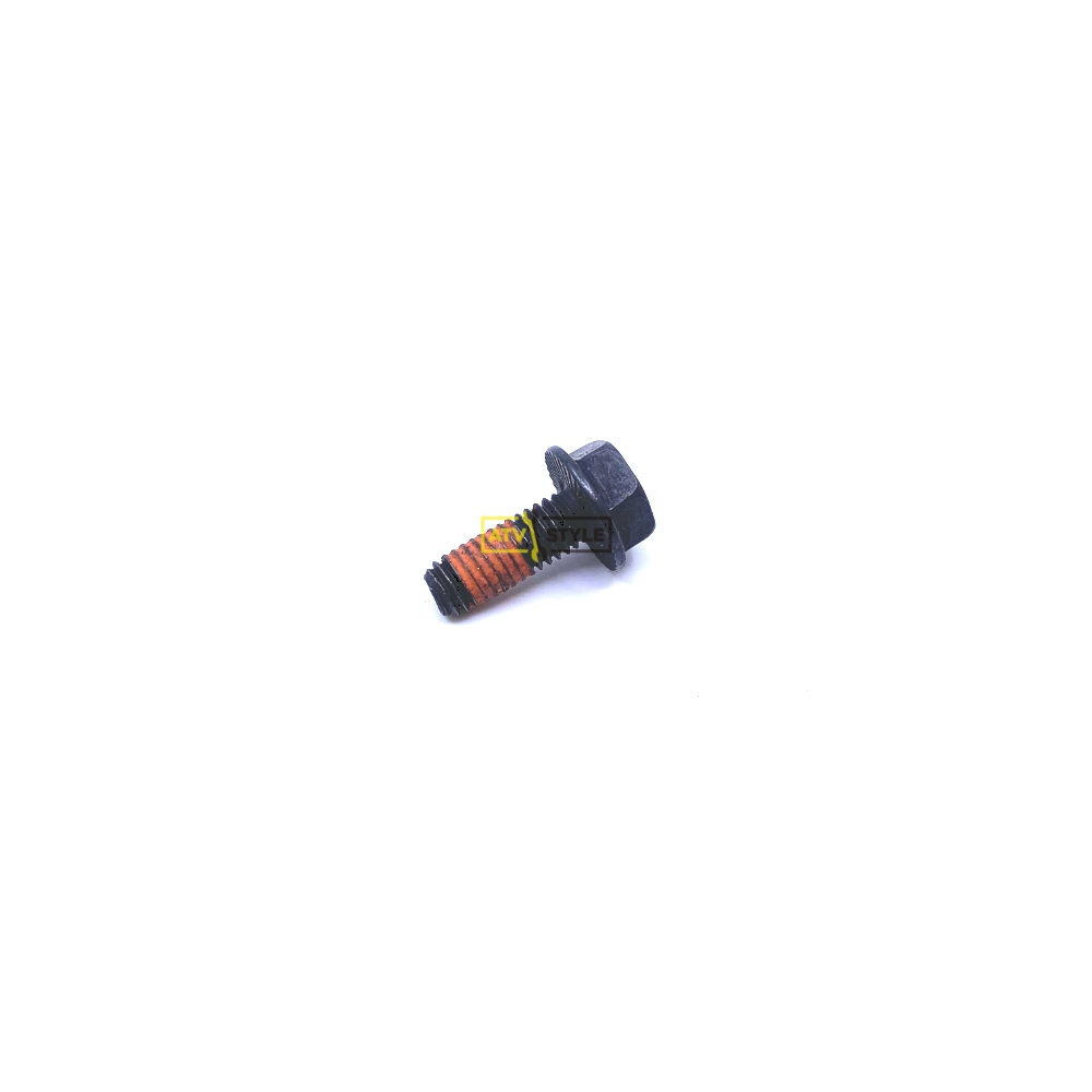 Болт M6 X1 6 BRP 250000416