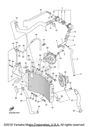 RADIATOR HOSE