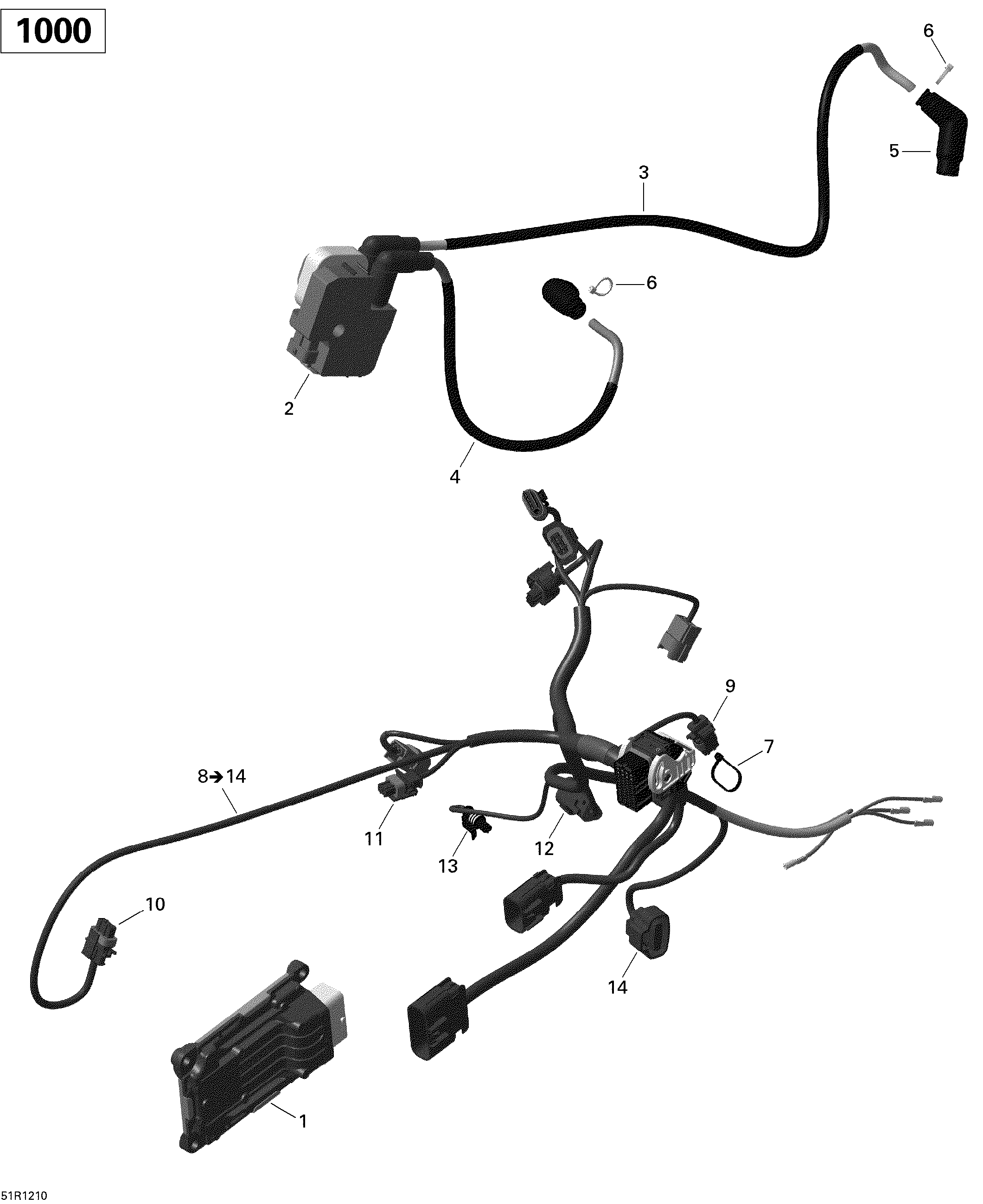 Engine Harness And Electronic Module