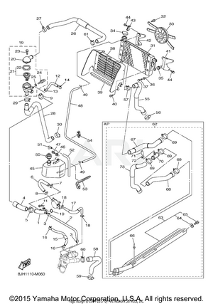 RADIATOR HOSE