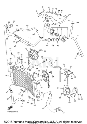 RADIATOR HOSE