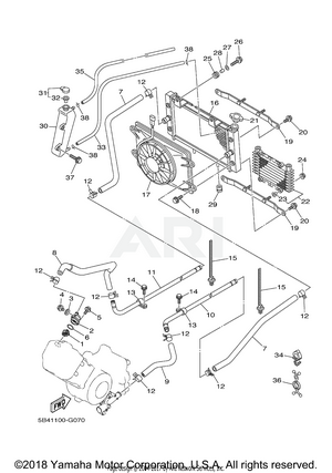 RADIATOR HOSE