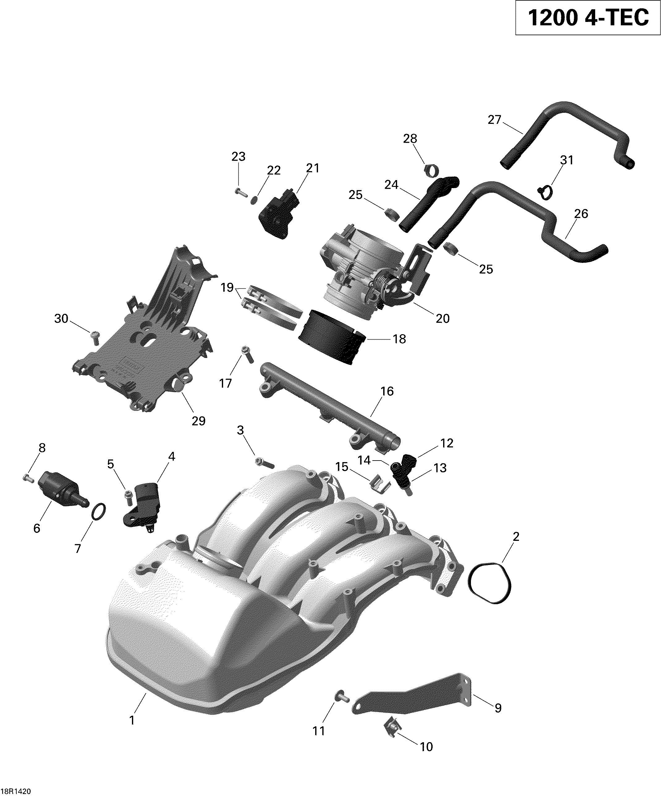 Air Intake Manifold And Throttle Body 2