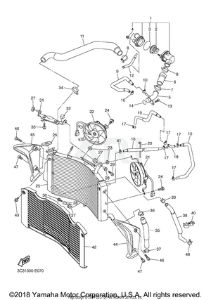 RADIATOR HOSE