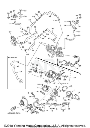 INTAKE