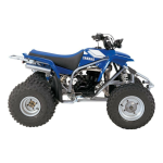 BLASTER (YFS200V)