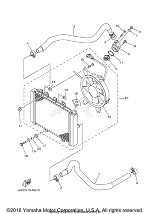 RADIATOR HOSE