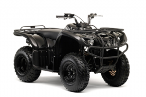 BIG BEAR 250 (YFM25BYR/YFM25BYGR/YFM25BYB)