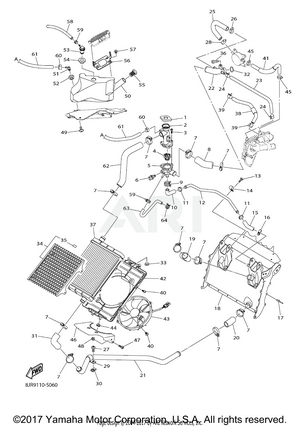 RADIATOR HOSE