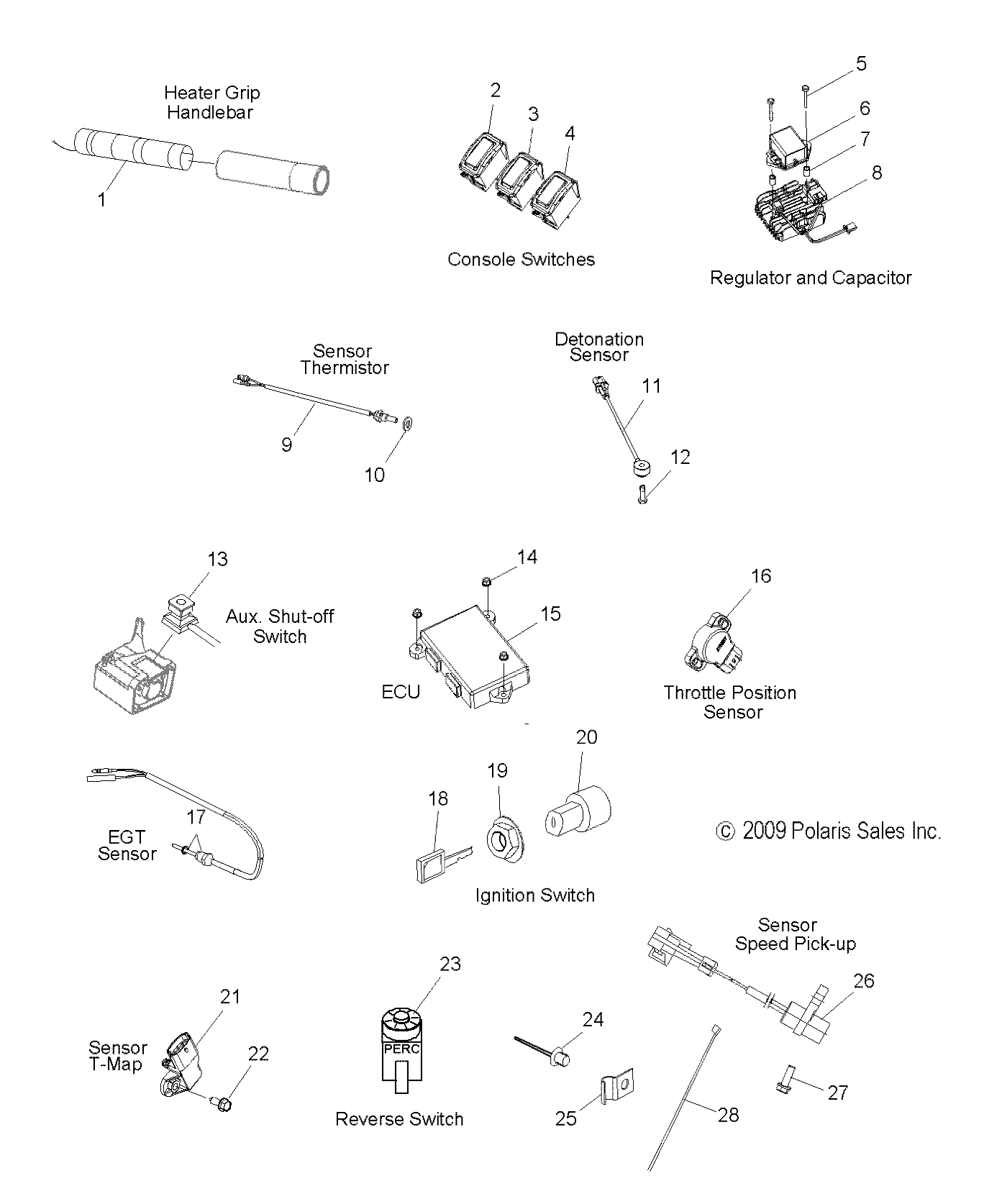 ELECTRICAL, SWITCHES, SENSORS and COMPONENTS - S09PL8ES/EE (49SNOWELECT09ASSAULT)