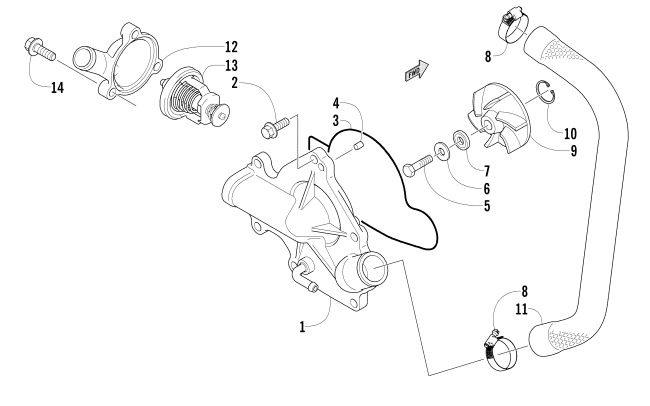 WATER PUMP AND THERMOSTAT