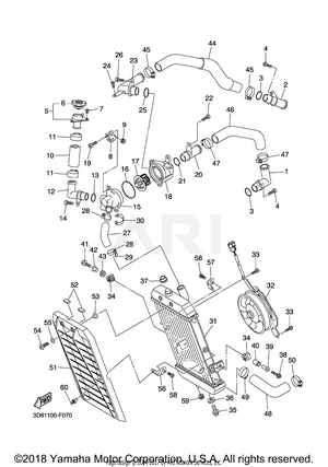 RADIATOR HOSE