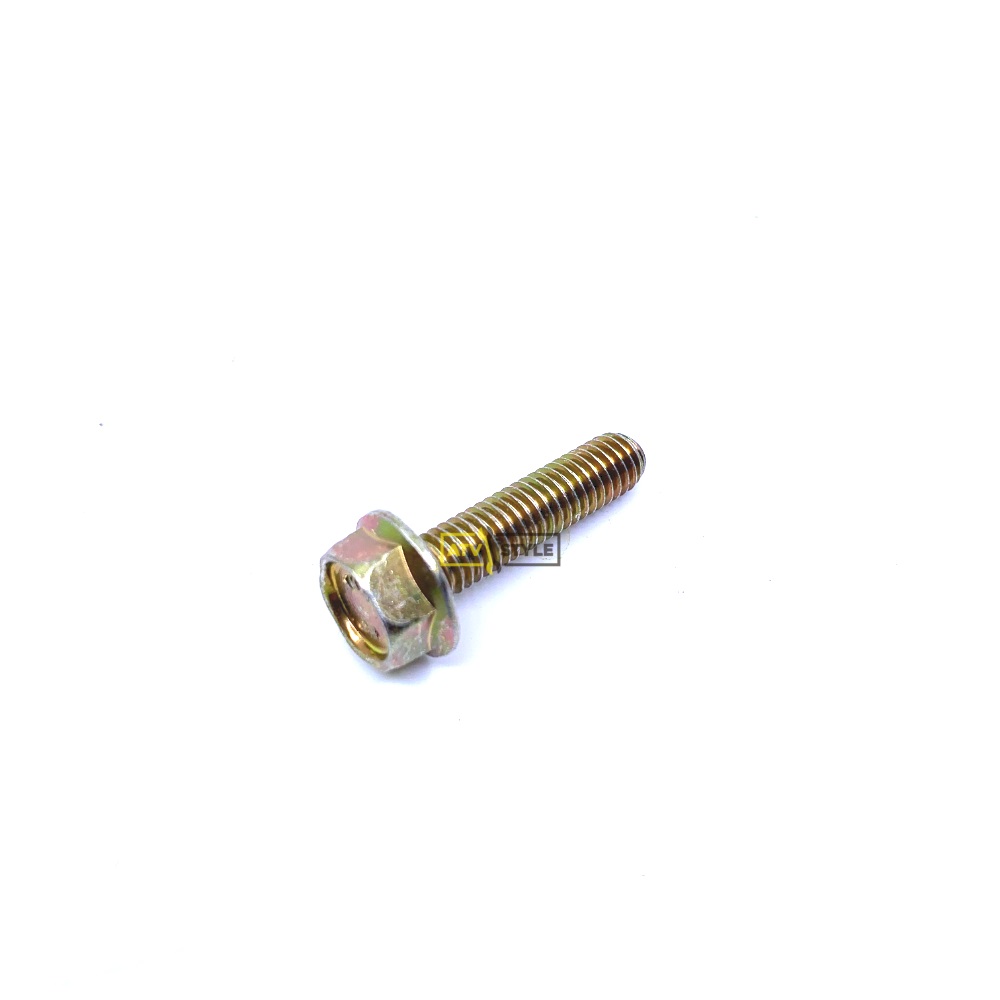 Болт М6х25 Can Am 420240034