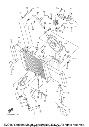 RADIATOR HOSE