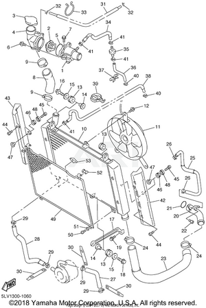 RADIATOR HOSE