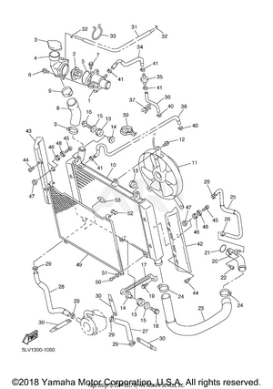 RADIATOR HOSE