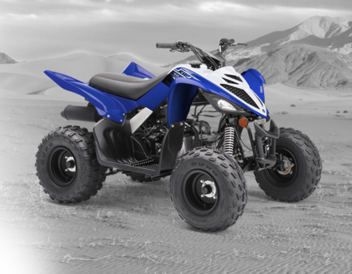 RAPTOR 90 (YFM90RZW)