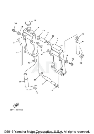 RADIATOR HOSE