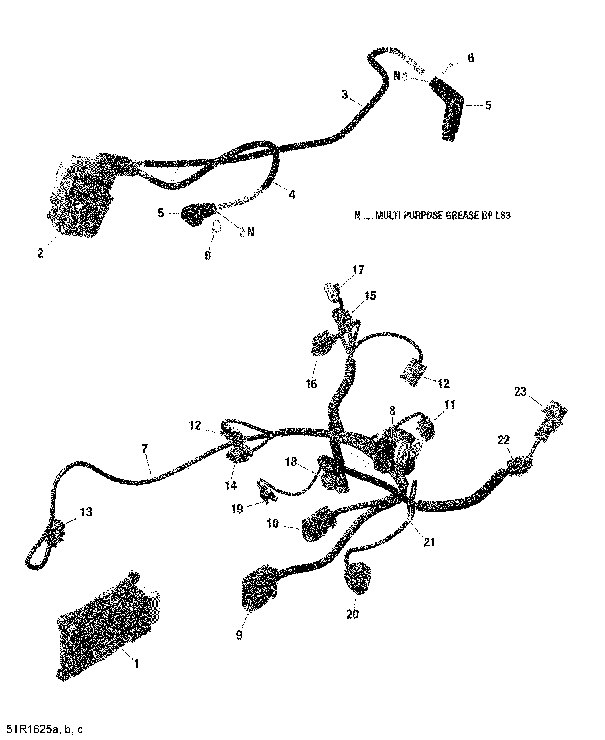 Engine Harness and Electronic Module - 1000R EFI (Renegade)_2