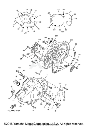 CRANKCASE COVER 1