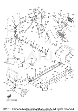 RADIATOR HOSE