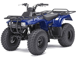 BAYOU 250 (KLF250A7F)