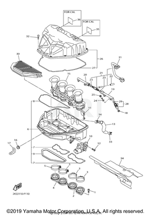 INTAKE