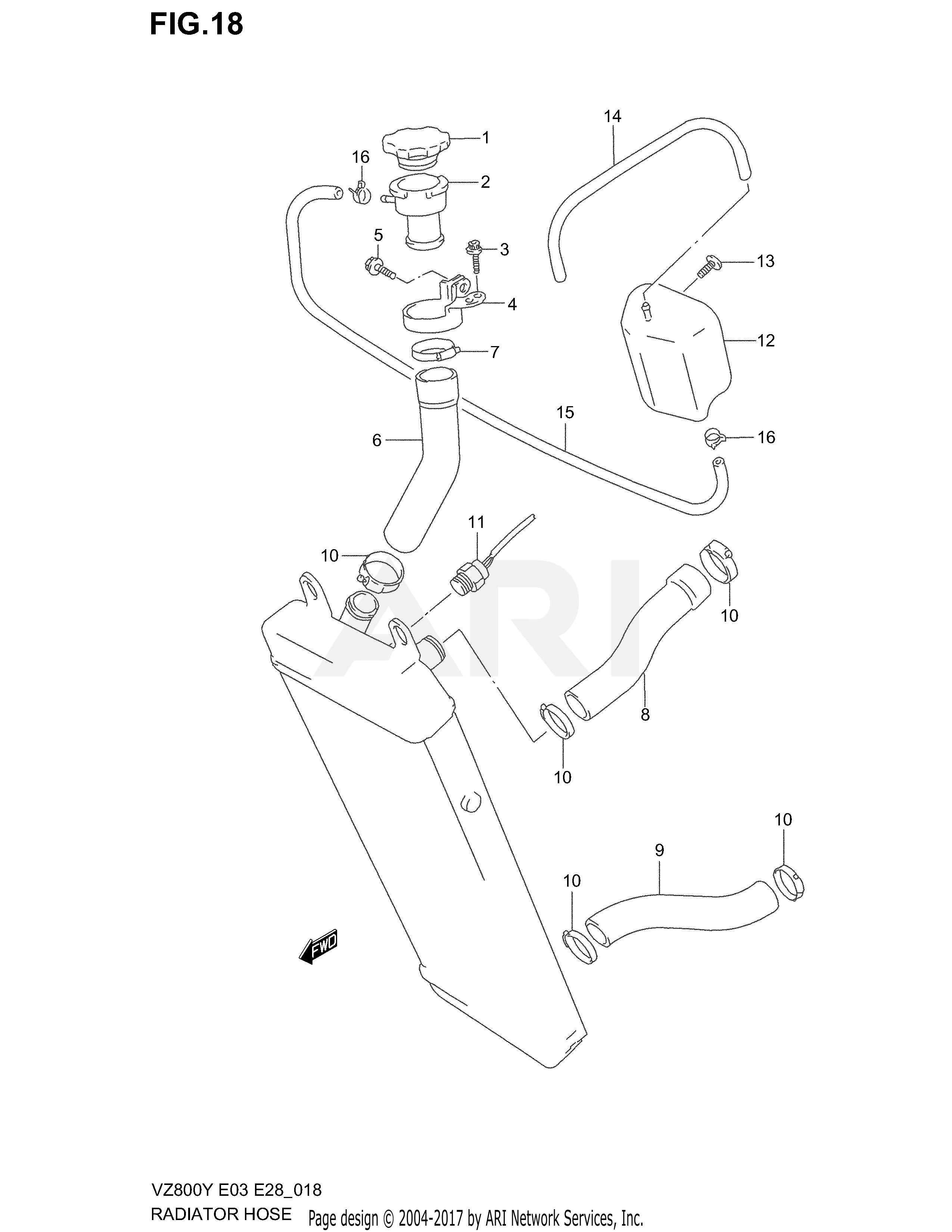 RADIATOR HOSE