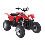 SCRAMBLER 500 4X4 (A01BG50AB)