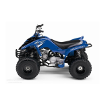 RAPTOR 80 (YFM80WR)