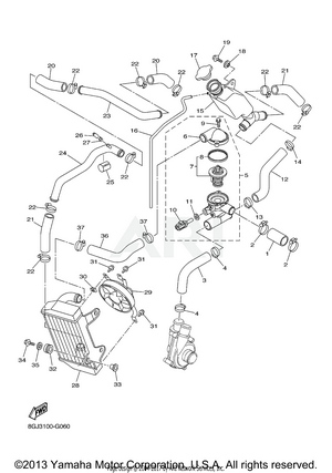 RADIATOR & HOSE