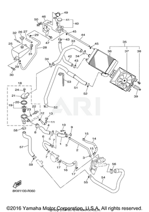 RADIATOR HOSE