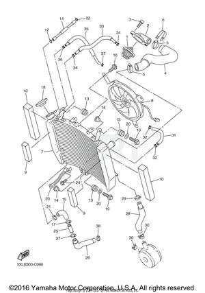 RADIATOR HOSE